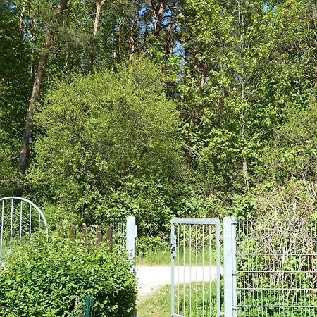 Leuchtturmblick - Auszeitkuehlungsborn